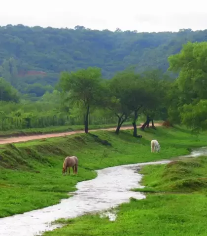 El Jard�n, Salta