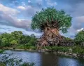Animal Kingdom sorprende con su propuesta inmersiva, sus atracciones originales y un entorno natural que lo diferencia del resto.