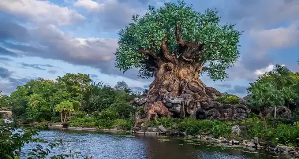 Animal Kingdom sorprende con su propuesta inmersiva, sus atracciones originales y un entorno natural que lo diferencia del resto.