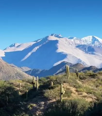 Silueta del Nevado de Cachi en Salta, donde se reconoce la figura de "El Durmiente" en el horizonte andino.