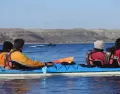 Viaje kayak en Pen�nsula Vald�s