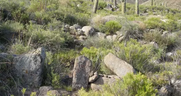 Las Pailas, Salta