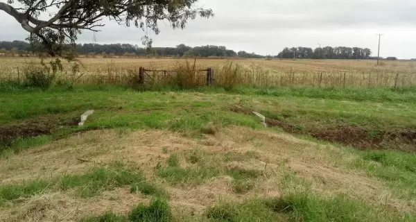 El encanto rural de Carmen de Areco invita a disfrutar la tradici�n y los sabores del campo argentino.