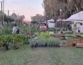 Puestos de plantas y flores en la Expo Vivero de Caz�n, Provincia de Buenos Aires