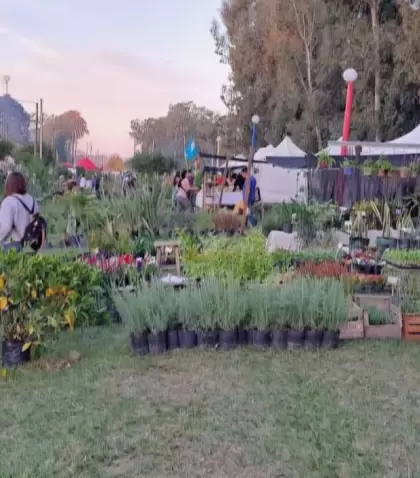 Puestos de plantas y flores en la Expo Vivero de Caz�n, Provincia de Buenos Aires