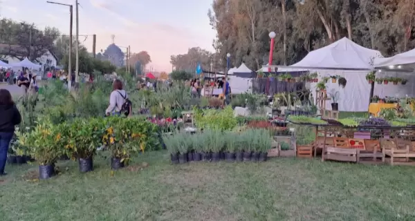 Puestos de plantas y flores en la Expo Vivero de Caz�n, Provincia de Buenos Aires