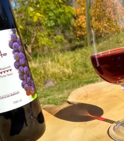 Tierra de Vino y Cultura, el evento que re�ne bodegas, arte y gastronom�a en la Casa de Culturas de Berisso.