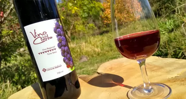 Tierra de Vino y Cultura, el evento que re�ne bodegas, arte y gastronom�a en la Casa de Culturas de Berisso.
