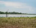 La Laguna Mar Chiquita es una reserva de bi�sfera que combina mar, humedales y biodiversidad en la costa bonaerense.