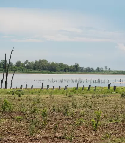 La Laguna Mar Chiquita es una reserva de bi�sfera que combina mar, humedales y biodiversidad en la costa bonaerense.
