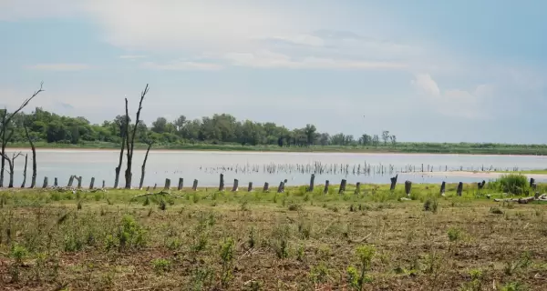 La Laguna Mar Chiquita es una reserva de bi�sfera que combina mar, humedales y biodiversidad en la costa bonaerense.