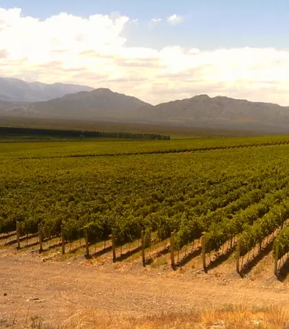 Los valles sanjuaninos combinan vi�edos, historia y monta�as en una de las rutas del vino m�s aut�nticas del pa�s.