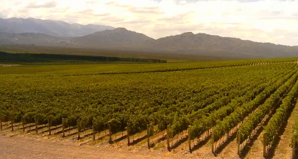 Los valles sanjuaninos combinan vi�edos, historia y monta�as en una de las rutas del vino m�s aut�nticas del pa�s.
