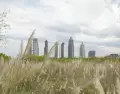 La Reserva Ecol�gica Costanera Sur, con m�s de 350 hect�reas, es el principal pulm�n verde de la Ciudad de Buenos Aires.