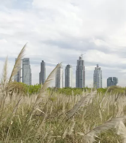 La Reserva Ecol�gica Costanera Sur, con m�s de 350 hect�reas, es el principal pulm�n verde de la Ciudad de Buenos Aires.