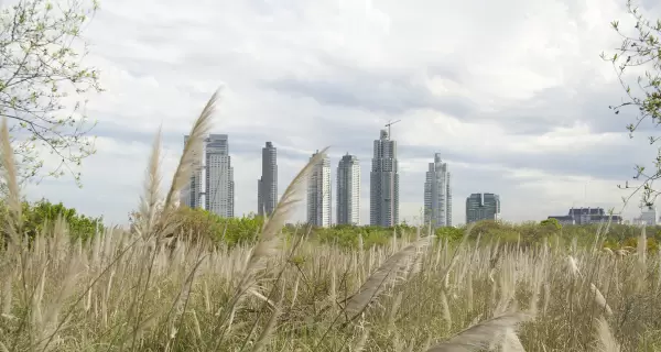 La Reserva Ecol�gica Costanera Sur, con m�s de 350 hect�reas, es el principal pulm�n verde de la Ciudad de Buenos Aires.