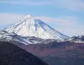 Los senderos del Parque Nacional Lan�n permiten disfrutar la naturaleza patag�nica bajo la mirada del imponente volc�n.