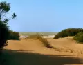 Mar Azul combina playa, bosque y tranquilidad en uno de los rincones m�s apacibles de la Costa Atl�ntica.