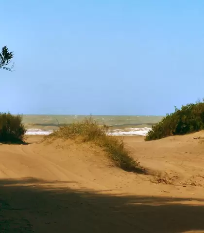 Mar Azul combina playa, bosque y tranquilidad en uno de los rincones m�s apacibles de la Costa Atl�ntica.