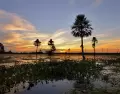 Los Esteros del Iber�, en Corrientes, son un modelo de conservaci�n y turismo sustentable en Argentina.