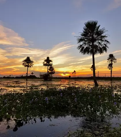 Los Esteros del Iber�, en Corrientes, son un modelo de conservaci�n y turismo sustentable en Argentina.