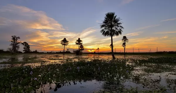 Los Esteros del Iber�, en Corrientes, son un modelo de conservaci�n y turismo sustentable en Argentina.