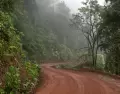 Las Yungas juje�as del Parque Nacional Calilegua concentran una biodiversidad extraordinaria, t�pica del norte argentino.