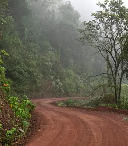 Las Yungas juje�as del Parque Nacional Calilegua concentran una biodiversidad extraordinaria, t�pica del norte argentino.