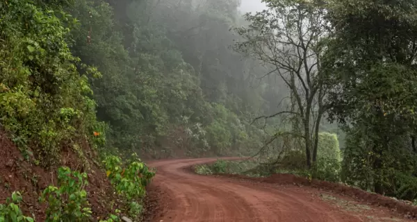 Las Yungas juje�as del Parque Nacional Calilegua concentran una biodiversidad extraordinaria, t�pica del norte argentino.