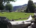 Las estancias jesu�ticas y las chacras serranas son el coraz�n del turismo rural en C�rdoba.