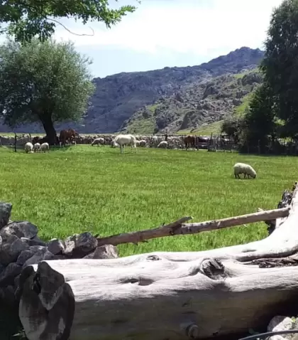 Las estancias jesu�ticas y las chacras serranas son el coraz�n del turismo rural en C�rdoba.