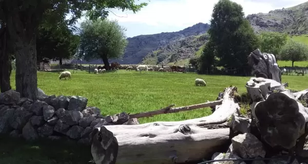 Las estancias jesu�ticas y las chacras serranas son el coraz�n del turismo rural en C�rdoba.