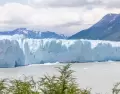 Los Parques Nacionales de la Patagonia deslumbran con su diversidad de paisajes: glaciares, lagos y monta�as.