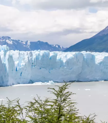 Los Parques Nacionales de la Patagonia deslumbran con su diversidad de paisajes: glaciares, lagos y monta�as.