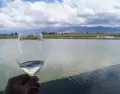 En verano, las rutas del vino argentino combinan vi�edos, monta�a y experiencias �nicas al aire libre.