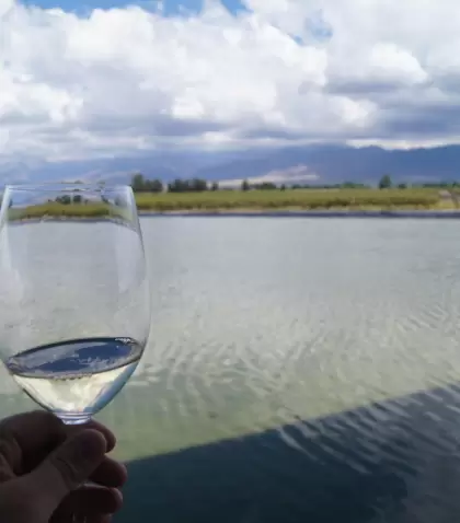 En verano, las rutas del vino argentino combinan vi�edos, monta�a y experiencias �nicas al aire libre.