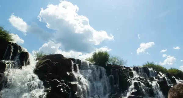 La selva misionera es un escenario �nico para la aventura: rafting, canopy y trekking entre r�os y cascadas.