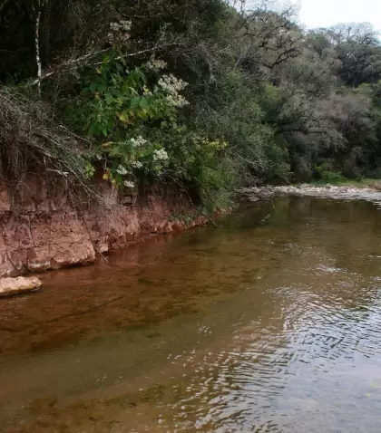 Los Parques Nacionales menos conocidos de Argentina invitan a descubrir paisajes �nicos y experiencias de naturaleza aut�ntica.