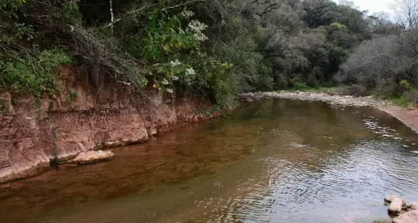 Los Parques Nacionales menos conocidos de Argentina invitan a descubrir paisajes �nicos y experiencias de naturaleza aut�ntica.