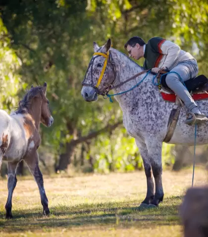 El turismo rural en C�rdoba propone experiencias aut�nticas en contacto con la vida de campo.