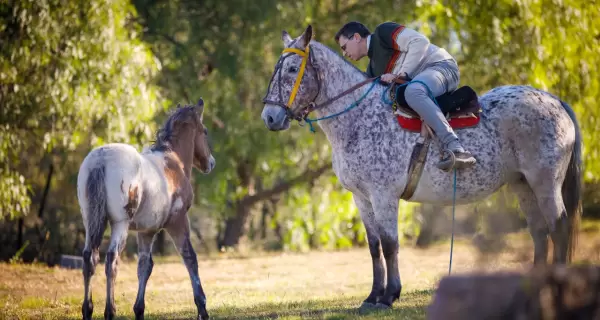 El turismo rural en C�rdoba propone experiencias aut�nticas en contacto con la vida de campo.
