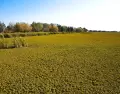 El turismo rural en verano propone descanso real, naturaleza y un ritmo m�s humano.