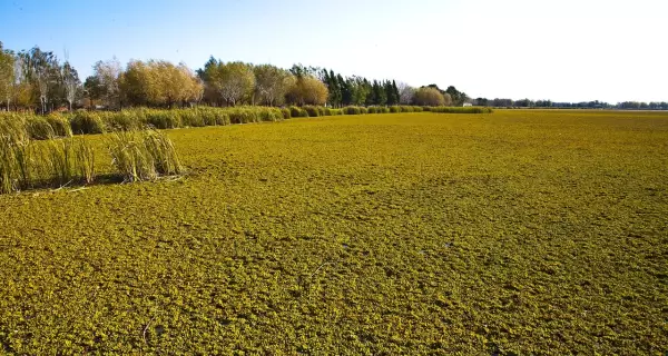 El turismo rural en verano propone descanso real, naturaleza y un ritmo m�s humano.