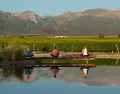 En verano, Mendoza combina vi�edos verdes, monta�a y naturaleza en un entorno amplio y luminoso.