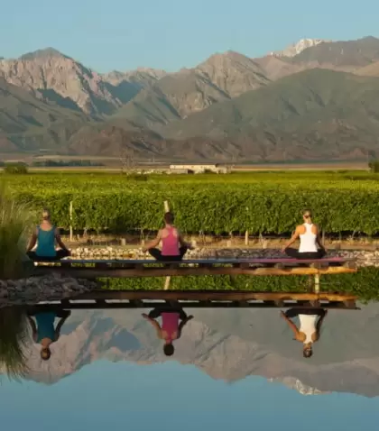 En verano, Mendoza combina vi�edos verdes, monta�a y naturaleza en un entorno amplio y luminoso.