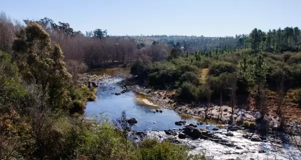Cerrar enero con vacaciones tranquilas ayuda a bajar el ritmo y encarar mejor lo que sigue.