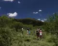 Febrero es un mes ideal para escapadas tranquilas y bien disfrutadas en Argentina.