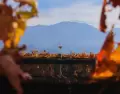 En verano, Mendoza combina vi�edos, monta�a y experiencias al aire libre con un ritmo disfrutable.
