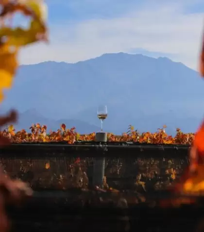 En verano, Mendoza combina vi�edos, monta�a y experiencias al aire libre con un ritmo disfrutable.