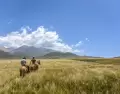 En verano, un fin de semana bien elegido alcanza para descansar y cambiar de aire.